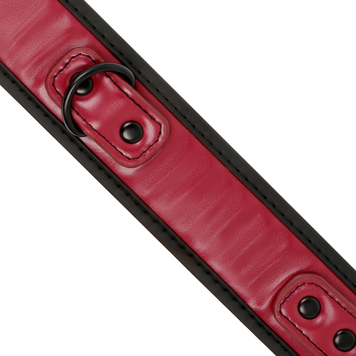 Coleira e Trela DarkRoom